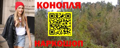 МДПВ Донской
